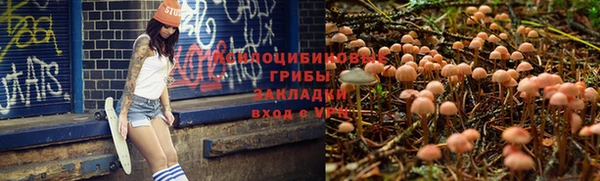 гидра Верхний Тагил