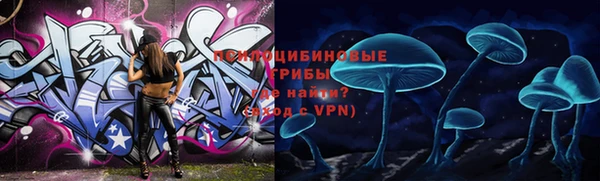 гидра Верхний Тагил