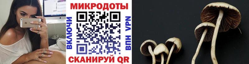 Галлюциногенные грибы Magic Shrooms  Прокопьевск 